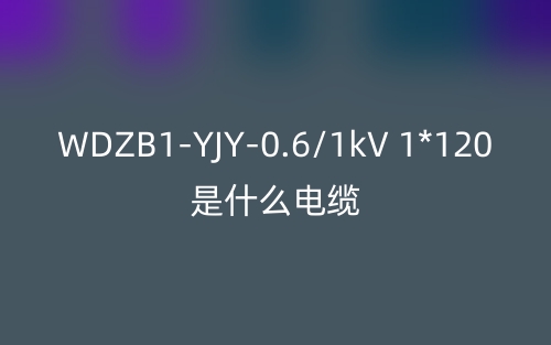WDZB1-YJY-0.6/1kV 1*120是什么電纜？(圖1)