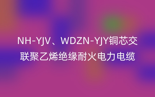 NH-YJV、WDZN-YJY銅芯交聯(lián)聚乙烯絕緣耐火電力電纜(圖1)