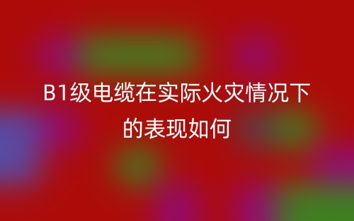 B1級(jí)電纜在實(shí)際火災(zāi)情況下的表現(xiàn)如何(圖1)
