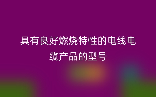 具有良好燃燒特性的電線電纜產(chǎn)品的型號(hào)(圖1)